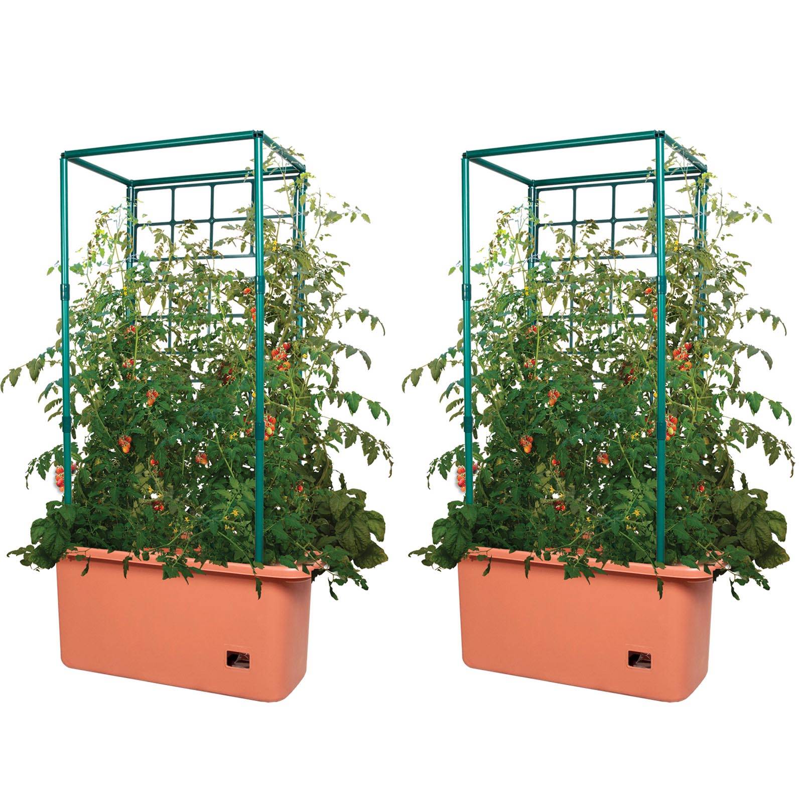 Hydrofarm GCTR 10 Gal Tomato Trellis Self Watering Grow System (2 Pack) - VMInnovations