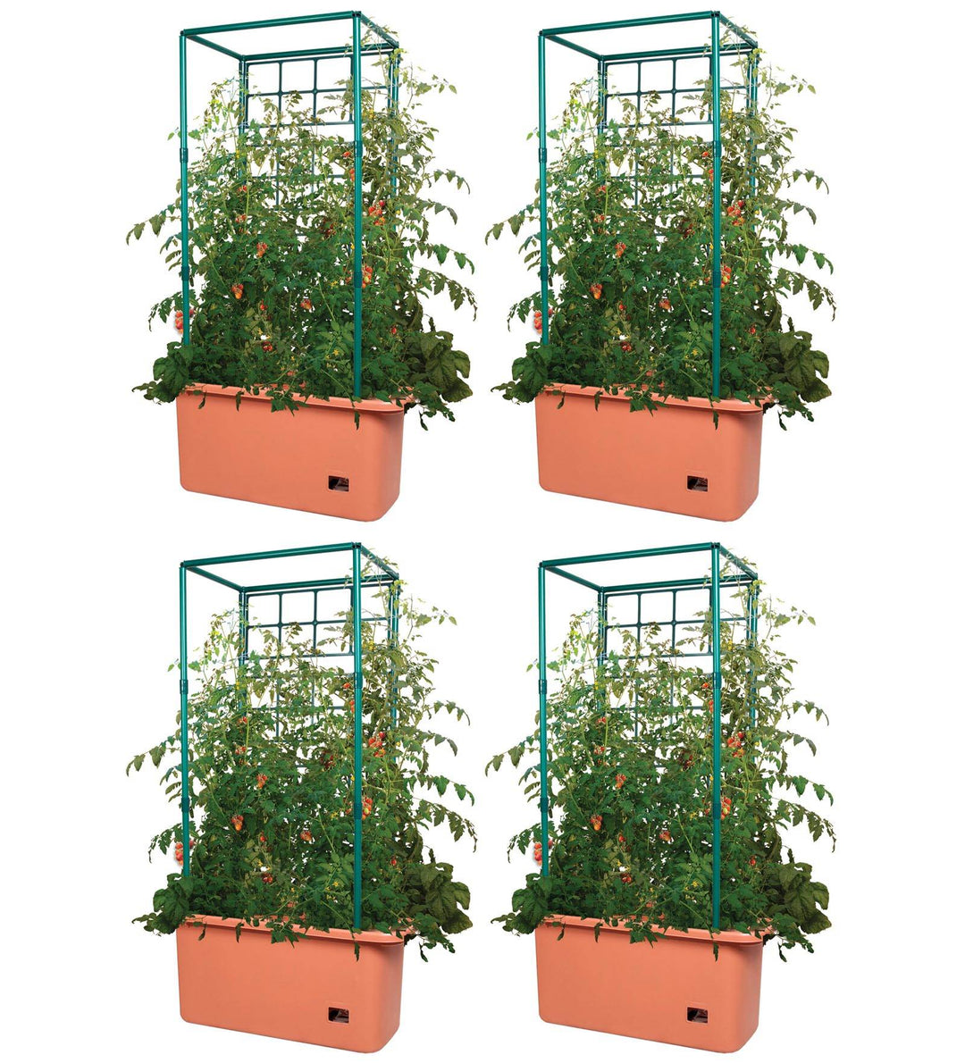 Hydrofarm GCTR 10 Gal Tomato Trellis Self Watering Garden Grow System (4 Pack)