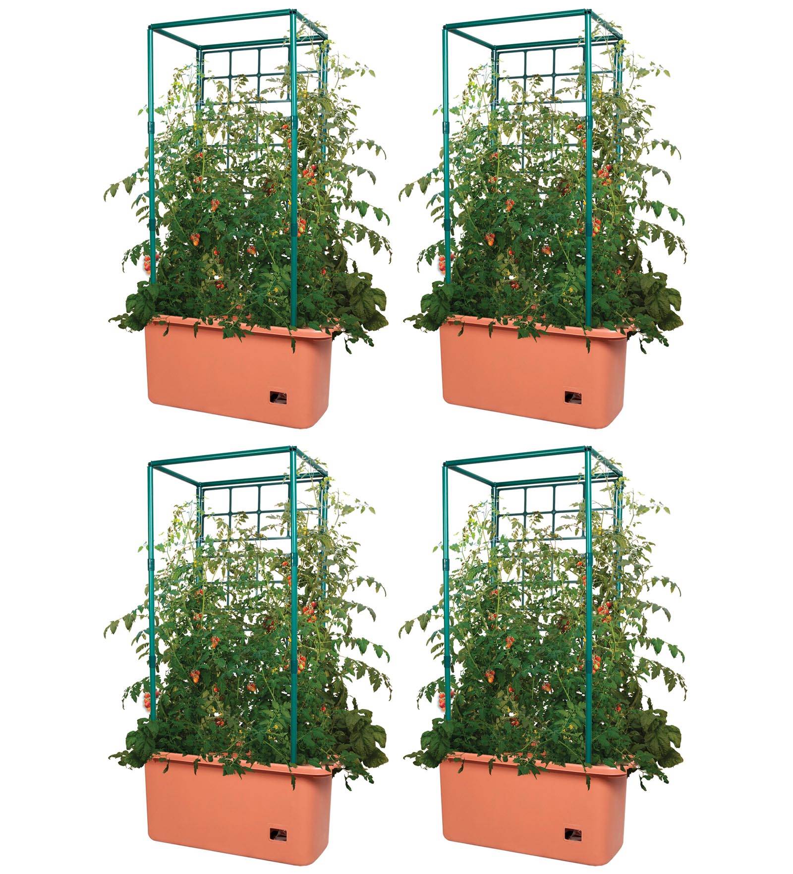 Hydrofarm GCTR 10 Gal Tomato Trellis Self Watering Garden Grow System (4 Pack) - VMInnovations