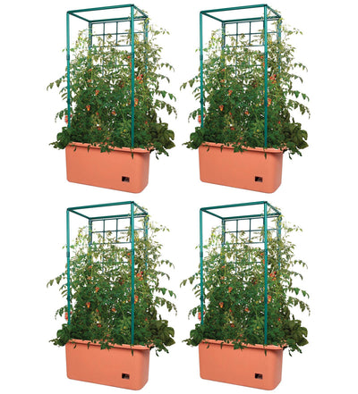 Hydrofarm GCTR 10 Gal Tomato Trellis Self Watering Garden Grow System (4 Pack)