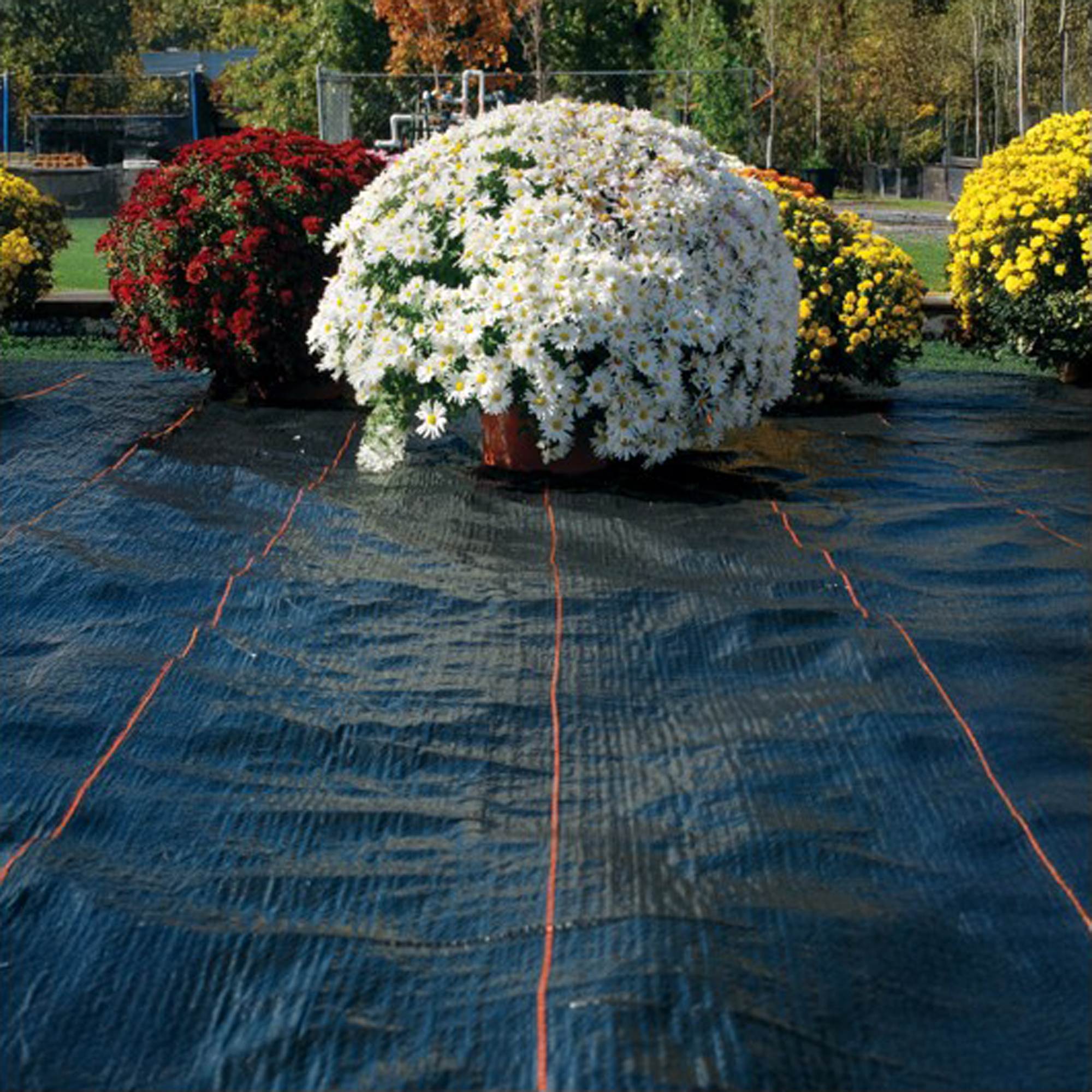DeWitt UltraWeb 3000 4' x 300' Woven Landscape Fabric Weed Barrier Ground Cover