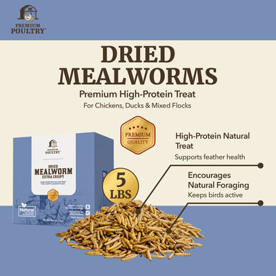 Premium Poultry 5 lb Mealworms and 5 lb Black Soldier Fly Dried Chicken Feed