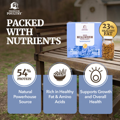 Premium Poultry 20 Pound Dried Mealworms Natural High Protein Chicken Feed Treat