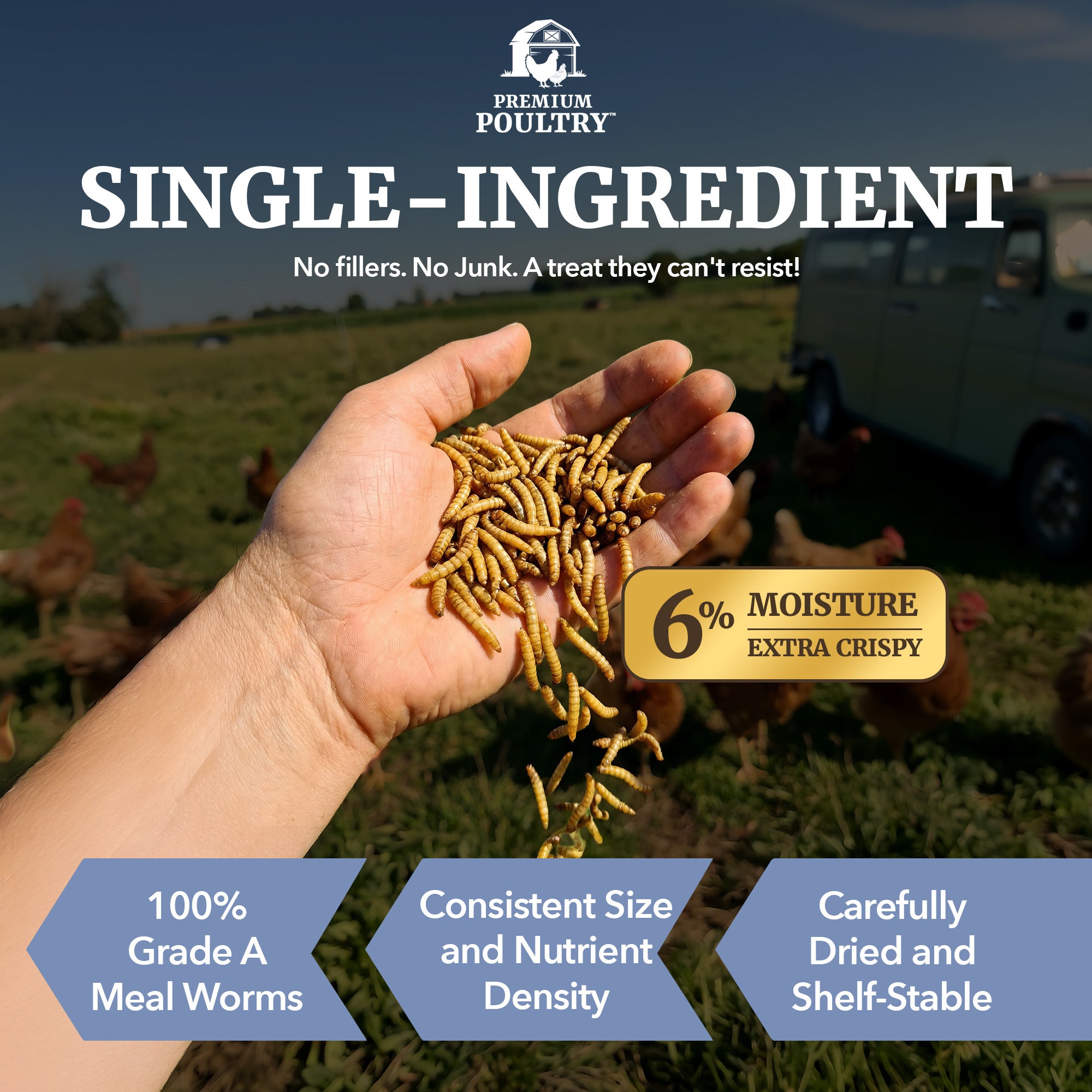 Premium Poultry 5 lb Mealworms and 5 lb Black Soldier Fly Dried Chicken Feed