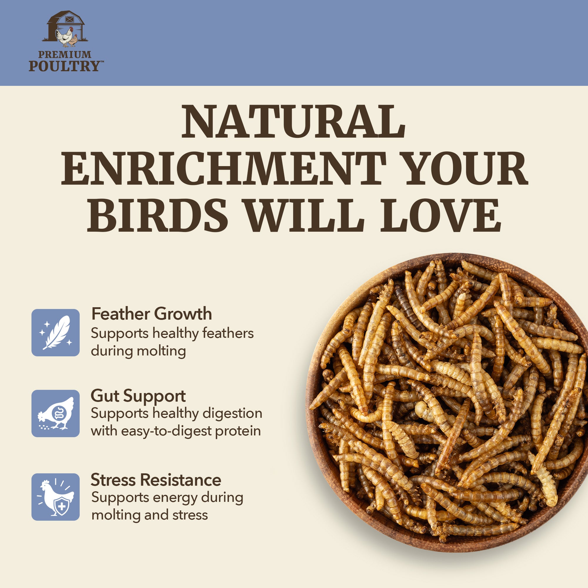 Premium Poultry 5 lb Mealworms and 5 lb Black Soldier Fly Dried Chicken Feed