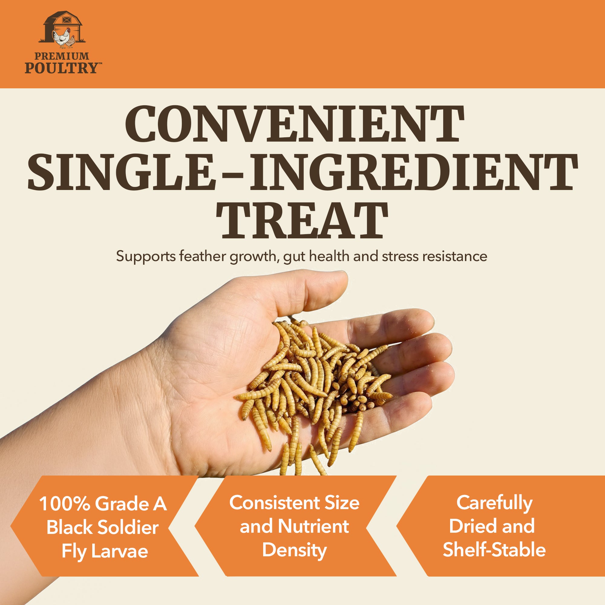 Premium Poultry 10 lb Dried Black Soldier Fly Larvae Chicken Feed Protein Treats