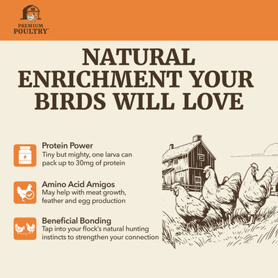 Premium Poultry 2 5 lb Mealworms & 2 5 lb Black Soldier Fly Dried Chicken Feed - VMInnovations