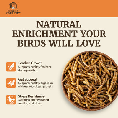 Premium Poultry 5 lb Dried Black Soldier Fly Larvae Chicken Feed Protein Treats