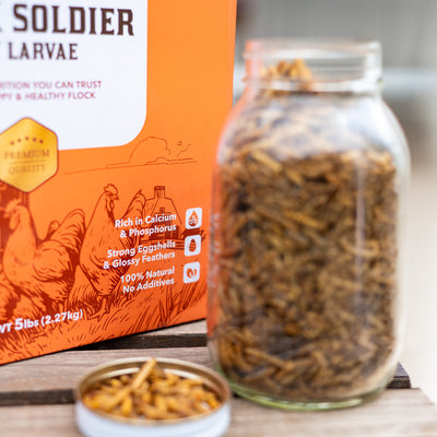 Premium Poultry 5 lb Dried Black Soldier Fly Larvae Chicken Feed Protein Treats