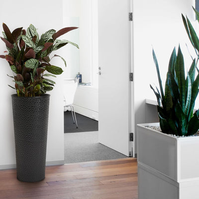 Worth 2 Pack 28" Metal Planter with Inside Pot for Indoors or Outdoors(Open Box)