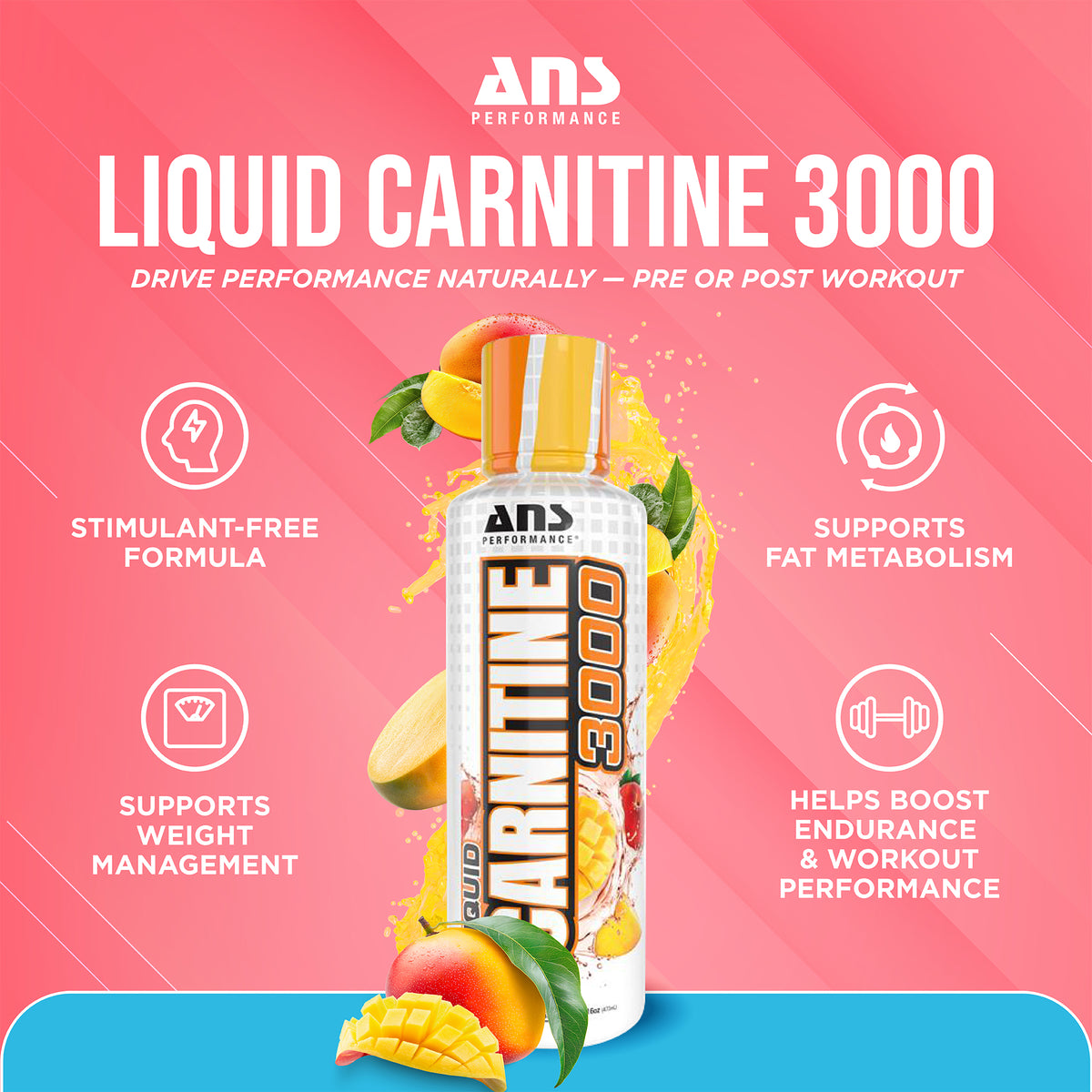 ANS Performance Carnitine 3000 for Muscle Recovery Support, 16 Oz, Peach Mango