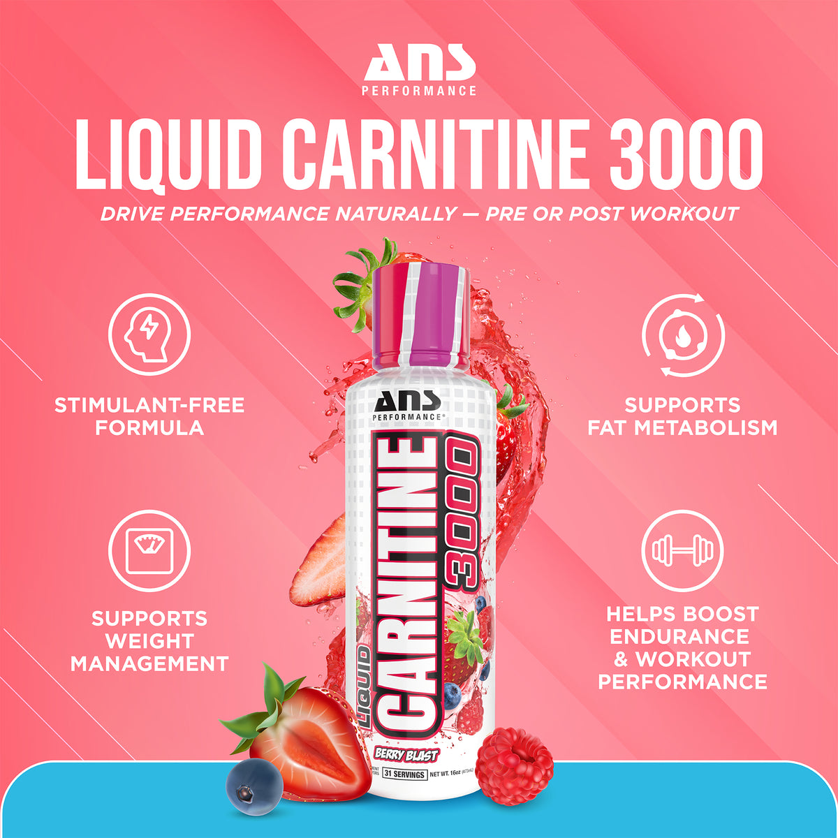 ANS Performance Carnitine 3000 for Muscle Recovery Support, 16 Oz, Berry Blast