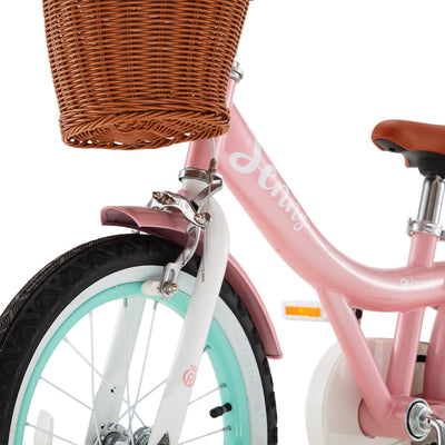 RoyalBaby Princess Girl Kid Outdoor Bicycle 18" with Kickstand, Jenny/Pink-Mint - VMInnovations