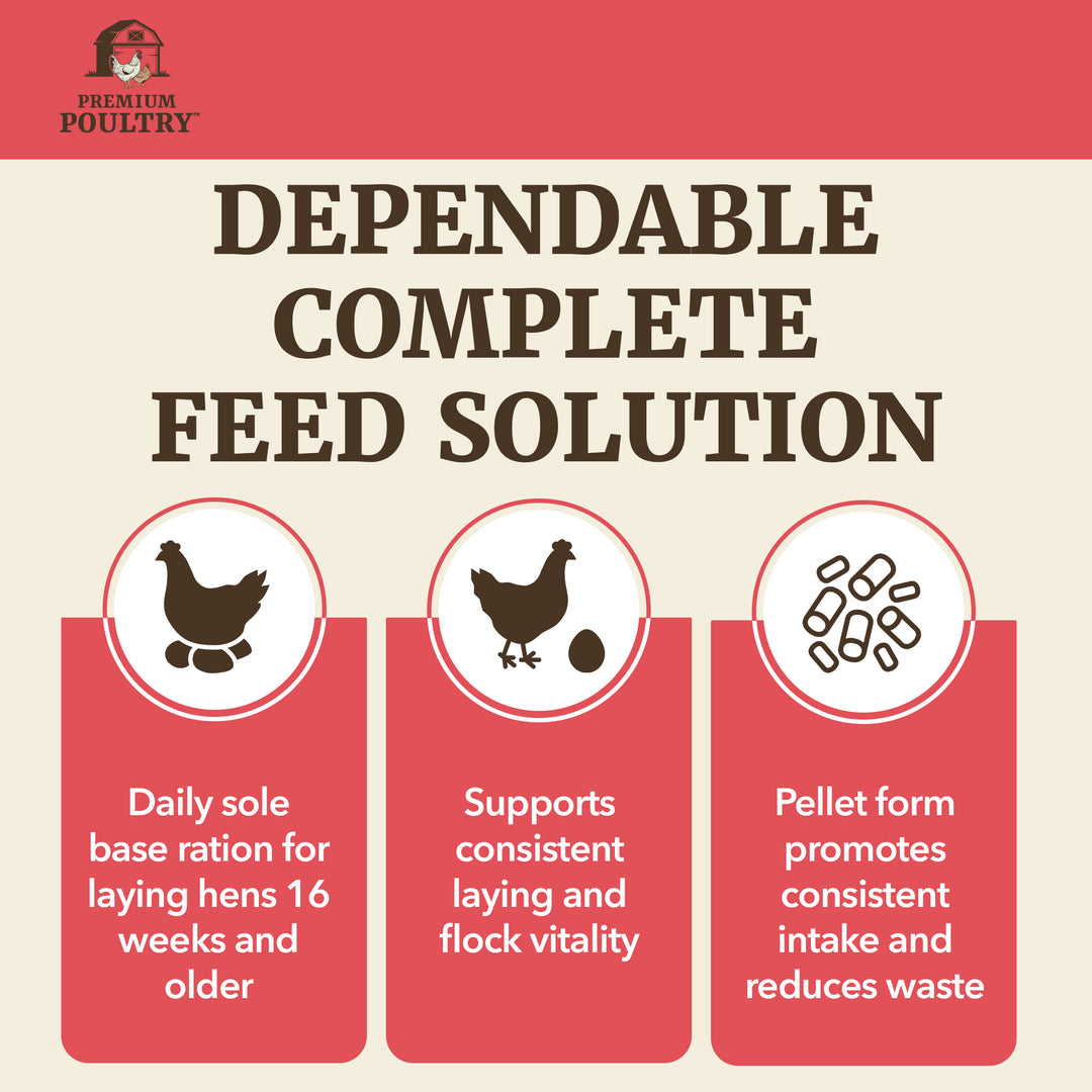 Premium Poultry Layer Pellets for Laying Hens, 16% Protein Blend Feed, 2000 lb - VMInnovations