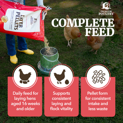 Premium Poultry Layer Pellets for Laying Hens, 16% Protein Blend Feed, 2000 lb