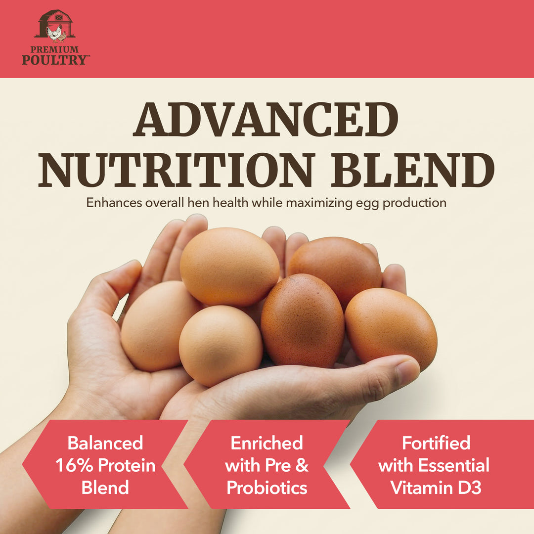 Premium Poultry Layer Pellets for Laying Hens, 16% Protein Blend Feed, 2000 lb - VMInnovations