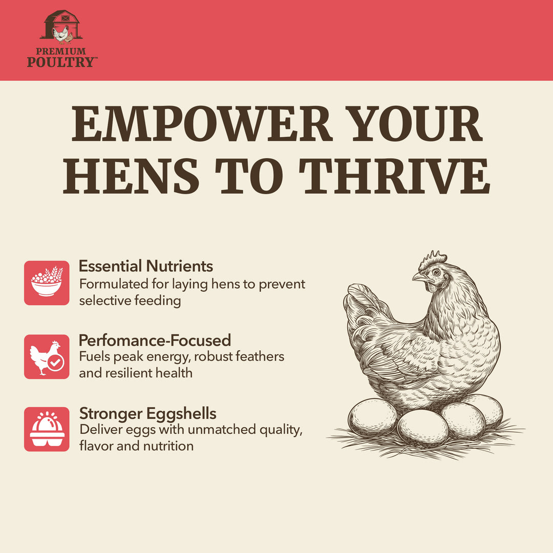 Premium Poultry Layer Pellets for Laying Hens, 16% Protein Blend Feed, 2000 lb - VMInnovations