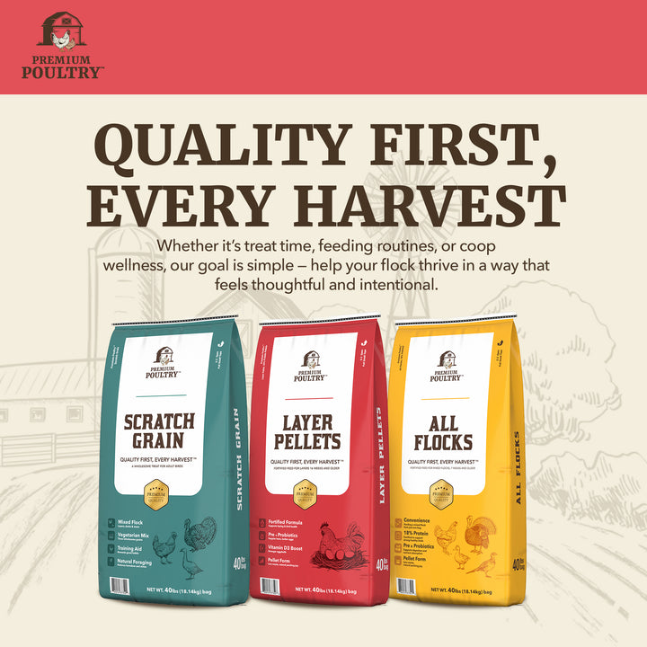 Premium Poultry Layer Pellets for Laying Hens, 16% Protein Blend Feed, 2000 lb - VMInnovations
