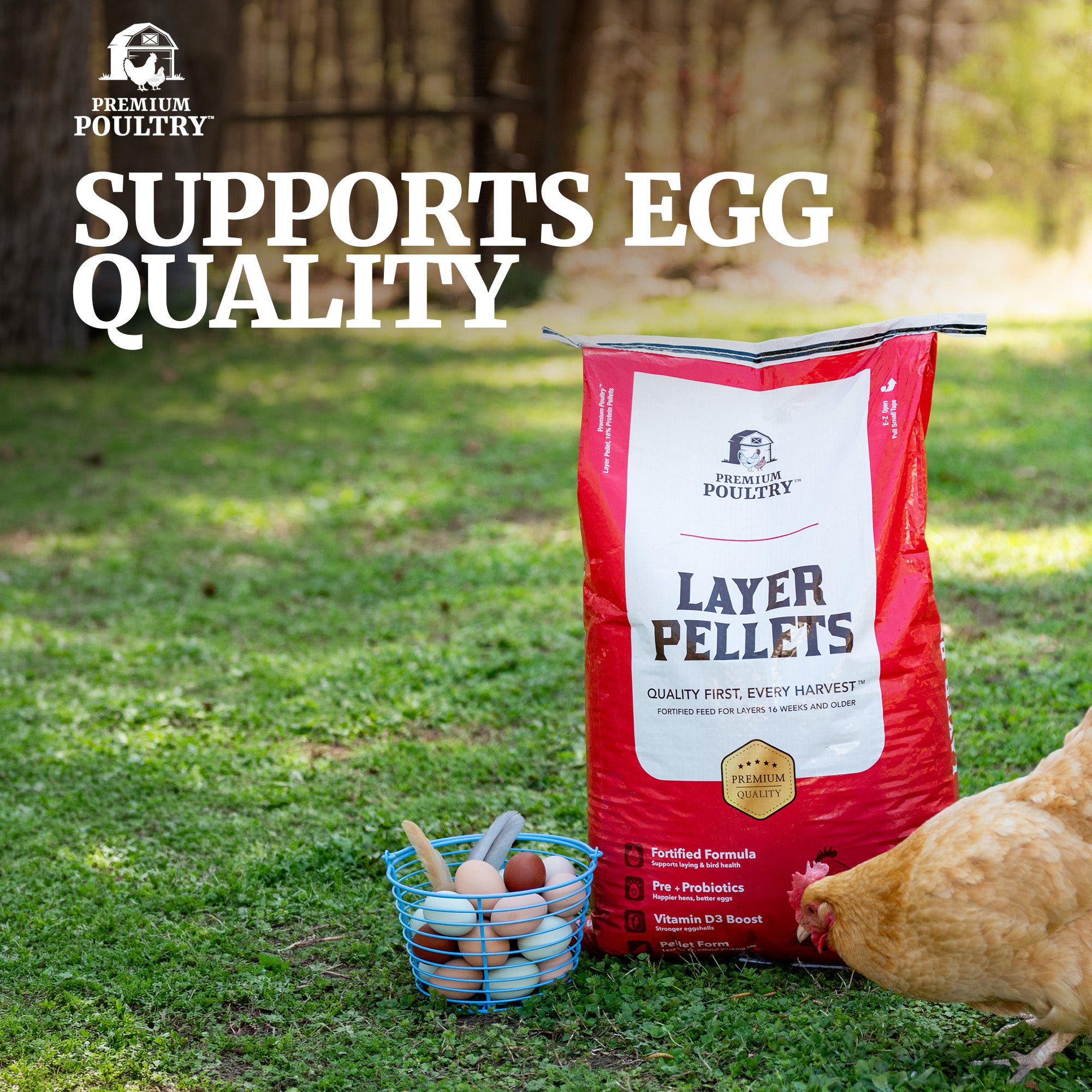 Premium Poultry Layer Pellets for Laying Hens, 16% Protein Blend Feed, 2000 lb