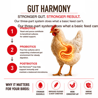 Premium Poultry Layer Pellets for Laying Hens, 16% Protein Blend Feed, 2000 lb - VMInnovations