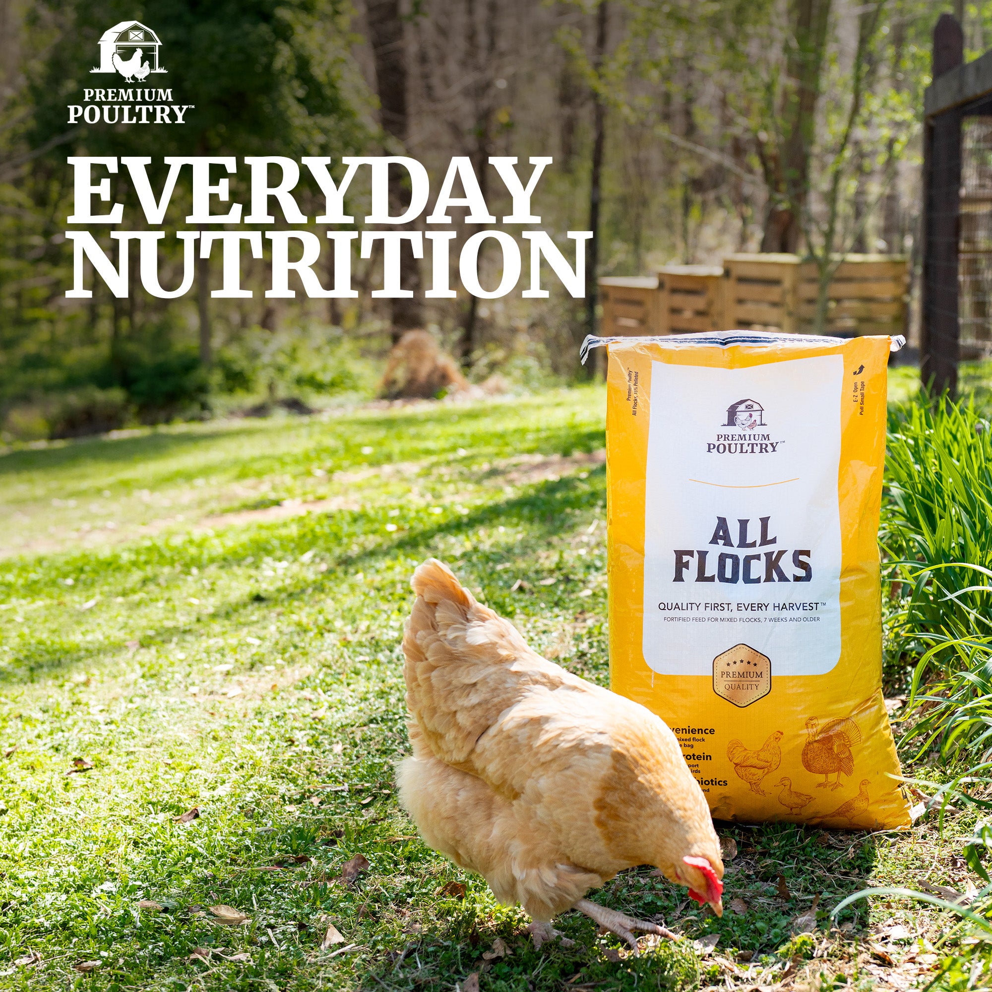 Premium Poultry All Flocks Feed Pellets, Protein for Mixed Flocks, 40 lb, 2 Pack