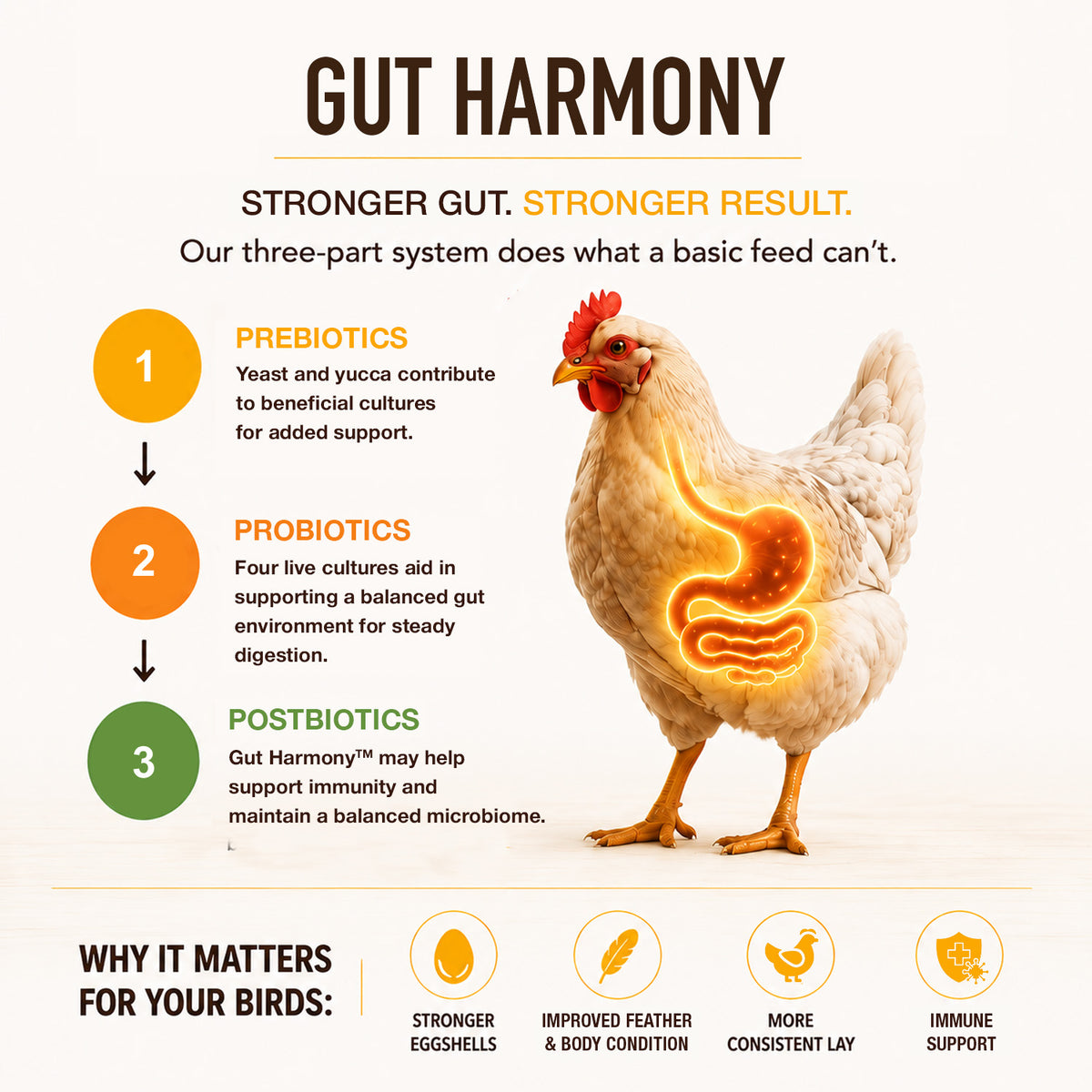 Premium Poultry All Flocks Feed Pellets, 18% Protein for Mixed Flocks, 2000 lbs