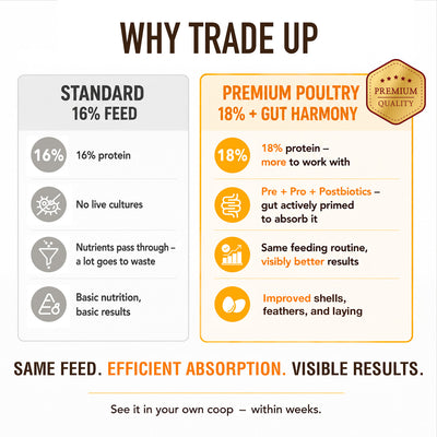 Premium Poultry All Flocks Feed Pellets, 18% Protein for Mixed Flocks, 40 Pounds - VMInnovations