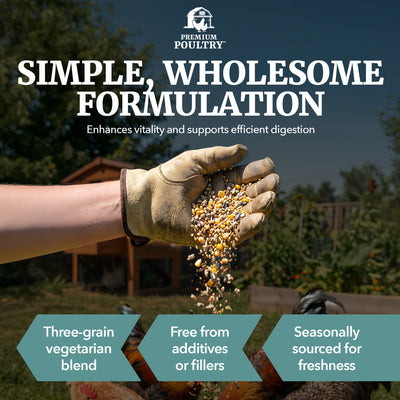 Premium Poultry Scratch Grain for Adult Chickens, Ducks, and Turkeys, 80 Pounds