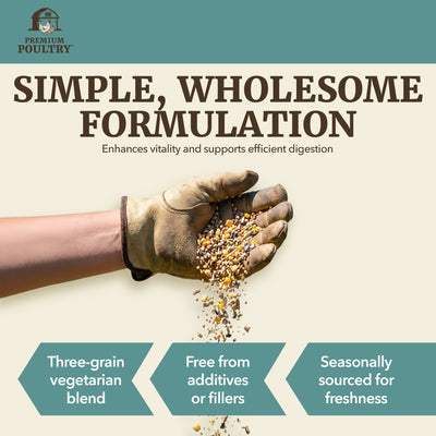 Premium Poultry Scratch Grain for Adult Chickens, Ducks, and Turkeys, 40 Pounds - VMInnovations