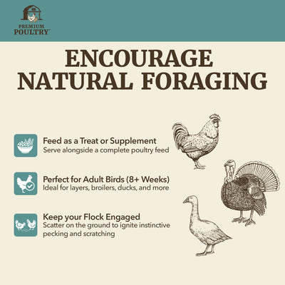 Premium Poultry Scratch Grain for Adult Chickens, Ducks, and Turkeys, 2000 lbs - VMInnovations