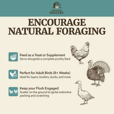 Premium Poultry Scratch Grain for Adult Chickens, Ducks, and Turkeys, 80 Pounds