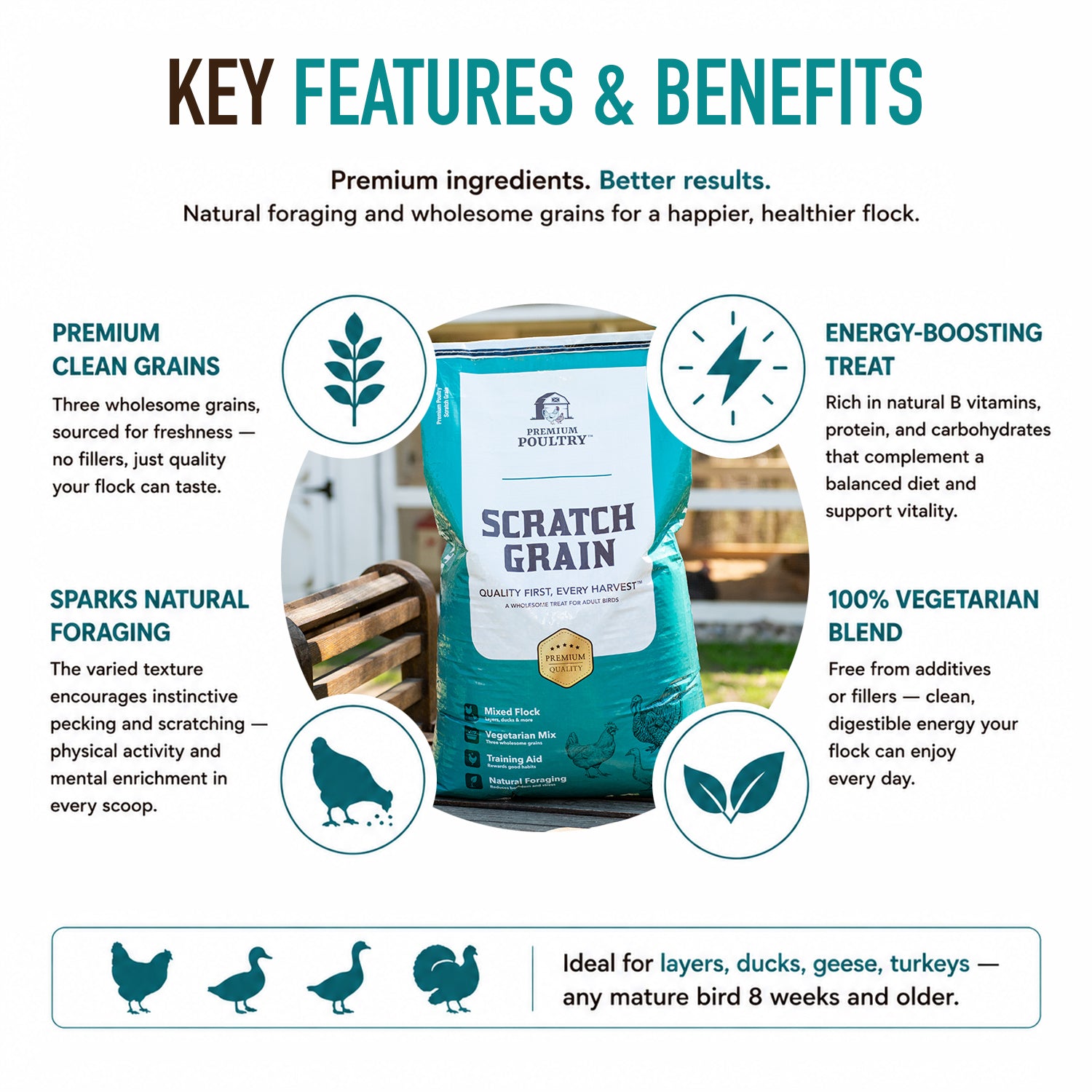 Premium Poultry Scratch Grain for Adult Chickens, Ducks, and Turkeys, 40 Pounds