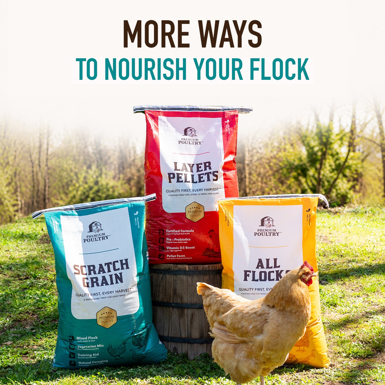 Premium Poultry Scratch Grain for Adult Chickens, Ducks, and Turkeys, 40 Pounds