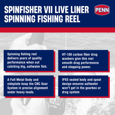 Penn Spinfisher VII Live Liner Spinning Fishing Reel with 6 Bearings, Size 4500, Black/Gold - VMInnovations