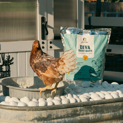 Premium Poultry Diva Dust Bath with Lavender & Tea Tree, Chicken Coop, 20 Lb Bag