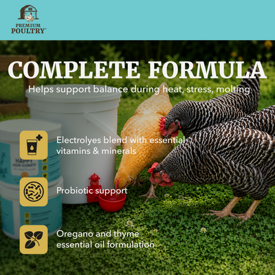 Premium Poultry Happy Hour Hydrate, Electrolytes & Probiotics for Chickens, 16oz