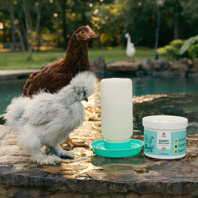 Premium Poultry Happy Hour Hydrate, Electrolytes & Probiotics for Chickens, 16oz