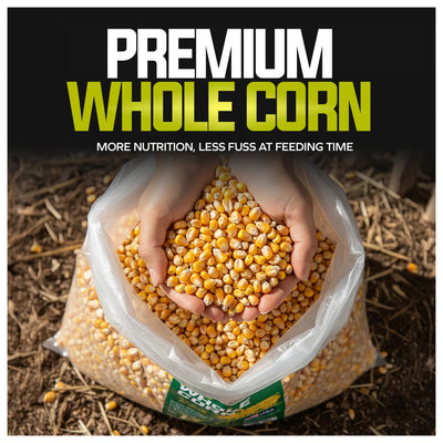Sun Joe Whole Corn, All Season Feed for Wildlife and Outdoor Feeding, 50 lb Bag - VMInnovations