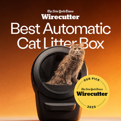 Litter-Robot 4 Supply Bundle by Whisker, Black - Automatic, Self-Cleaning Cat Litter Box, Includes Litter-Robot 4, 3 OdorTrap Refills, 10 Liners, 30 Cleaner Wipes, & 2 Carbon Filters