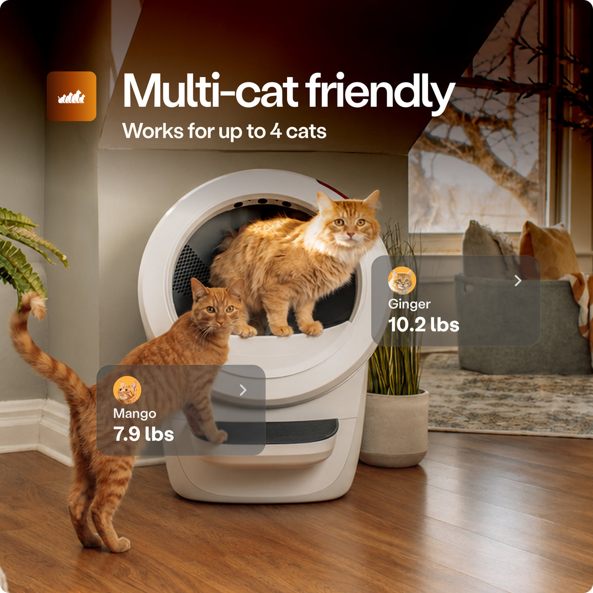 Litter-Robot 4 Supply Bundle by Whisker, White - Automatic, Self-Cleaning Cat Litter Box, WiFi Enabled, Includes Litter-Robot 4, 3 OdorTrap Refills, 10 Liners, 30 Cleaner Wipes, & 2 Carbon Filters