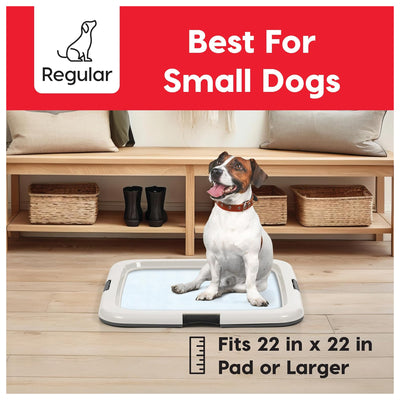 IRIS USA Secure Pee Pad Holder for Regular Sized Dogs, Fits 22"x22" Pad (Used) - VMInnovations