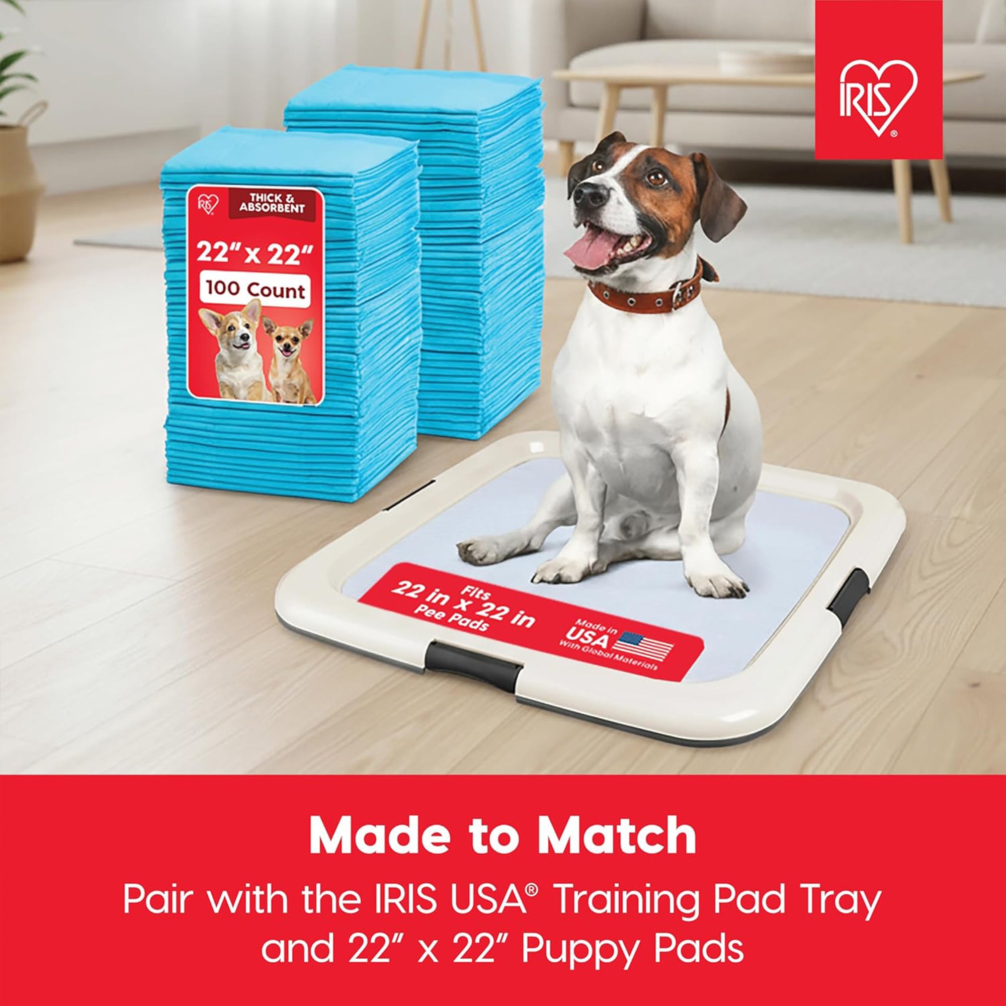 IRIS USA Secure Pee Pad Holder for Regular Sized Dogs, Fits 22"x22"  (Open Box) - VMInnovations