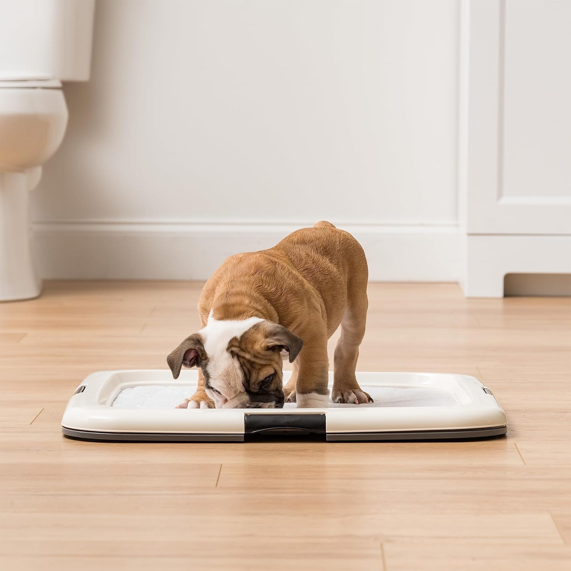 IRIS USA Secure Pee Pad Holder for Regular Sized Dogs, Fits 22"x22" Pad (Used) - VMInnovations