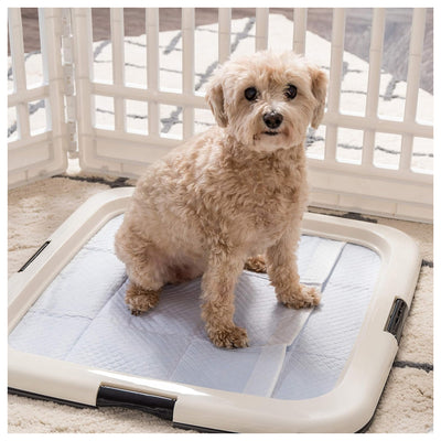 IRIS USA Secure Pee Pad Holder for Regular Sized Dogs, Fits 22"x22"  (Open Box) - VMInnovations