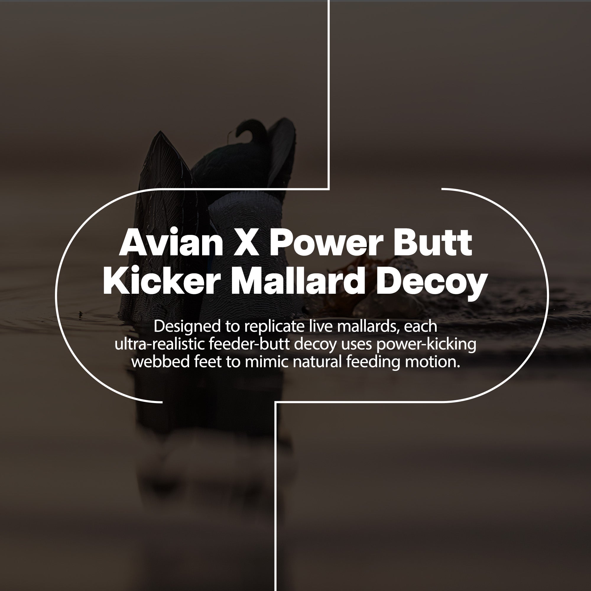 Avian-X Power Butt Kicker Drake Mallard/Hen Motion Duck Realistic Floating Decoy