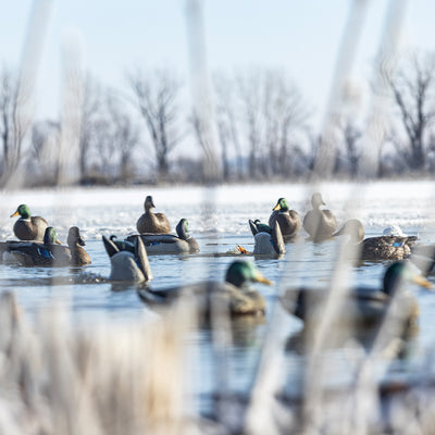 Avian-X Power Butt Kicker Drake Mallard/Hen Motion Duck Realistic Floating Decoy
