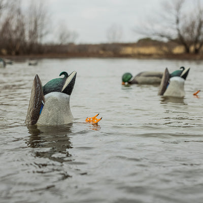 Avian-X Power Butt Kicker Drake Mallard/Hen Motion Duck Realistic Floating Decoy