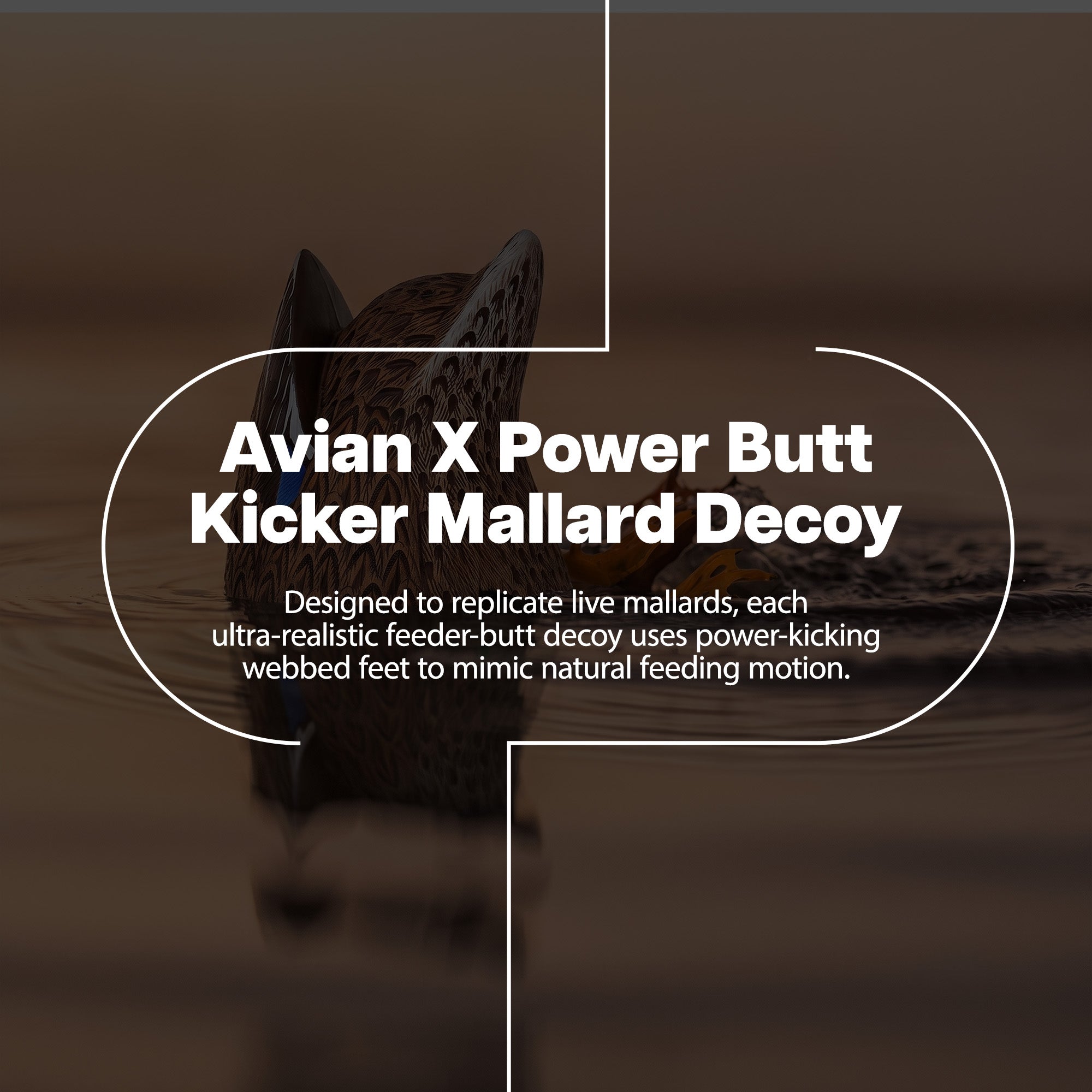 Avian-X Power Butt Kicker Mallard Hen Motion Duck Realistic Floating Decoy - VMInnovations