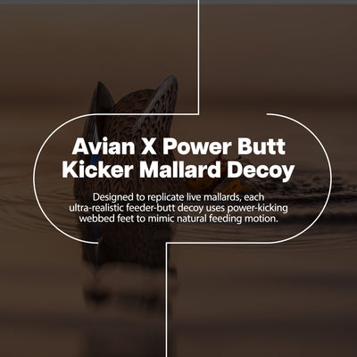 Avian-X Power Butt Kicker Mallard Hen Motion Duck Realistic Floating Decoy - VMInnovations