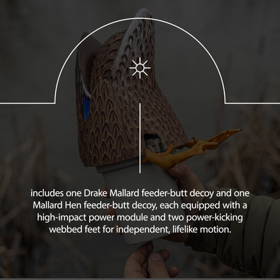 Avian-X Power Butt Kicker Mallard Hen Motion Duck Realistic Floating Decoy - VMInnovations